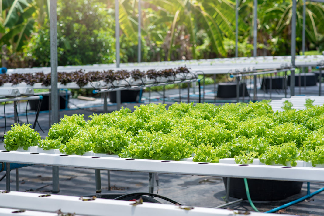 Custom vs. Standard Gutter Systems: What’s the Difference?