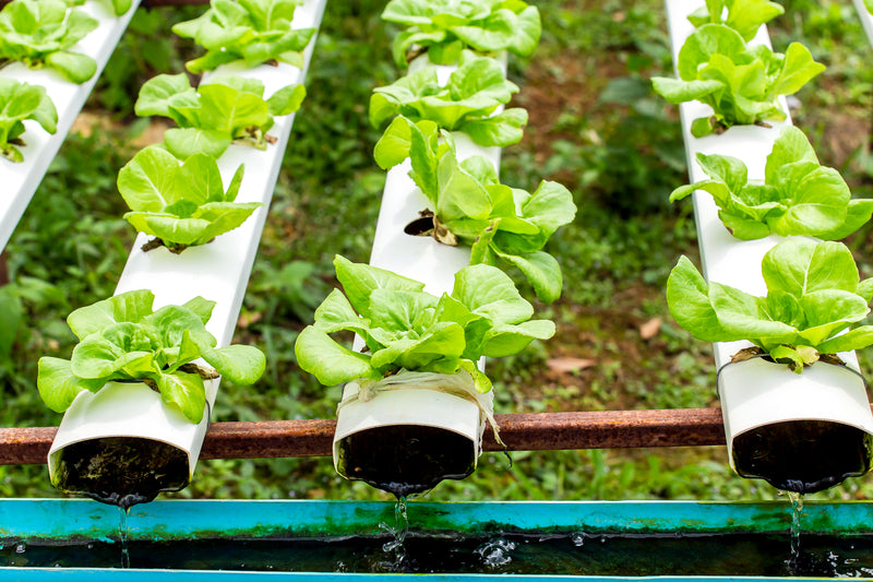 EcoFlow Precision Gutter - GreenFlow-Solutions